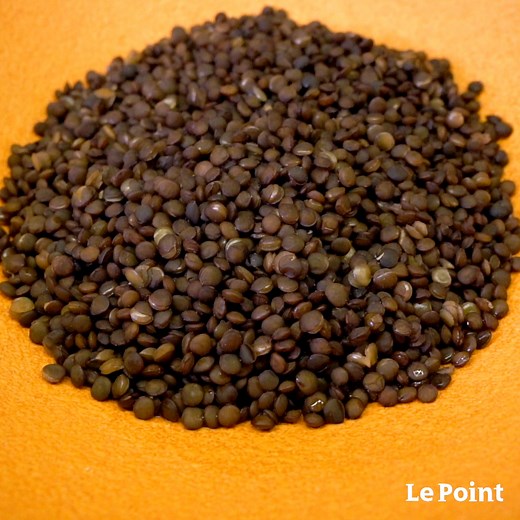 52K views · 727 reactions | Découvrez aujourd'hui comment cuire des lentilles, selon Jean-François Piège. https://bit.ly/3ueLrP2 | Le Point | Facebook