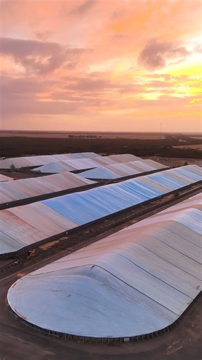 It’s official — this year’s harvest is a new CBH record of 24.2 million tonnes - the largest in the co operative’s history, surpassing the previous record of 22.9 million tonnes by 1.3 million tonnes, or more than 6%. Not only was it a record crop at a record pace — it was also our safest harvest on record, a huge achievement for everyone across the network. The records kept falling: • 4 out of 5 zones hit all time high volumes • 45 sites broke daily receival records • 44 sites set new season to