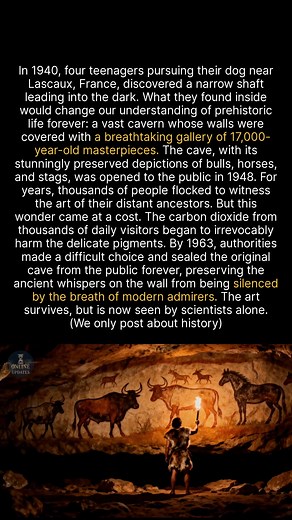 8.1K views · 88 reactions | To save these 17,000-year-old masterpieces, we had to seal them away from public view forever. #history #ancienthistory #arthistory | Online Updates | Facebook