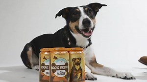 Busch debuts non-alcoholic 'turkey brew' for dogs