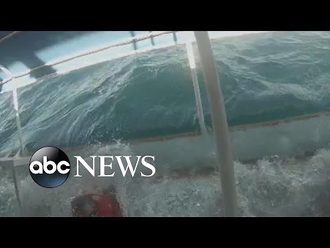 Catamaran Capsizes, Tossing Nearly 100 Tourists Into the Ocean