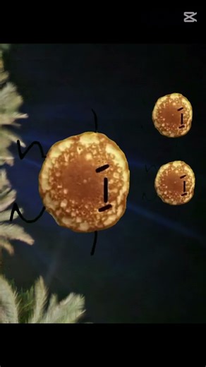 #funny #funnyvideo #pancake #dancing