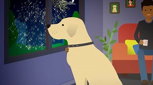 91K views · 161 reactions | The festive season is ALMOST here, and it brings some pretty colourful skies  Find out how to help keep your dog and other pets calm during fireworks: https://bit.ly/2PTIUmd . [Visual description: In this animation a dog watches from a lounge window as fireworks go off outside.] | Guide Dogs UK | Facebook
