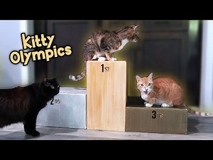 If Cats were in the Olympics