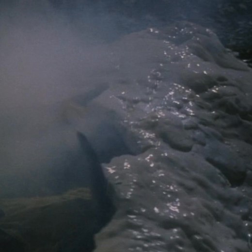 11K views · 259 reactions | SeedPeople (1992, 1hr 22min) https://eternal.tv/programs/seed-people Streaming for Family Members on Eternal.TV & Apps, in U.S. and Canada. The citizens of Comet Valley are being taken over by seeds from an alien plant that has taken root there. A sheriff investigates the strange goings-on. - Directed by Peter Manoogian. | Eternal Family | Facebook