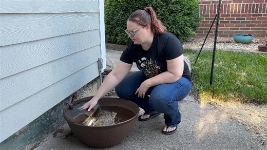 Watch Honest Review of Brown pond and waterfall kit on Amazon Live