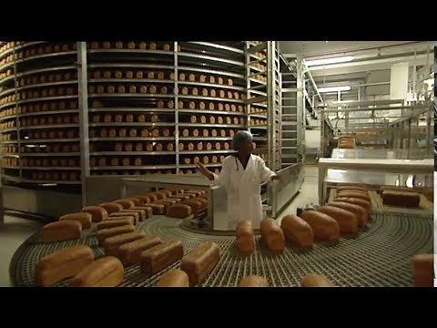 Hoe wordt brood gemaakt? | Doen Ze Dat Zo?