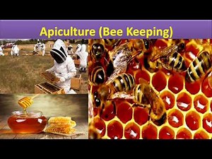 Apiculture (Bee Keeping) |biology short ppt notes,ug pg notes,11th2th notes