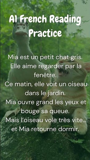Beginner (A1) French Reading Practice