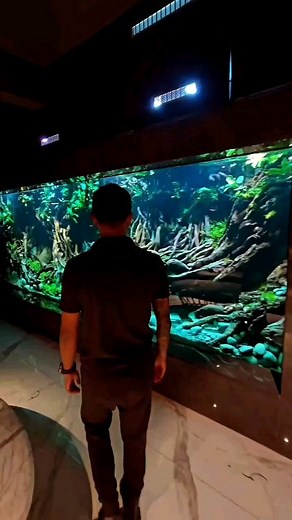 Live in dream GIGANT AQUASCAPE DESIGN | Jeffry Christian