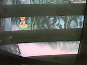 Atelier Iris 1 How do I get these items?