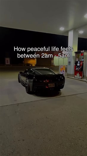 C7whoo on Instagram: "Milwaukee > Dewalt🧰#corvette #viralvideos #zo6 #content #fy #fyp #blowthisup #car"