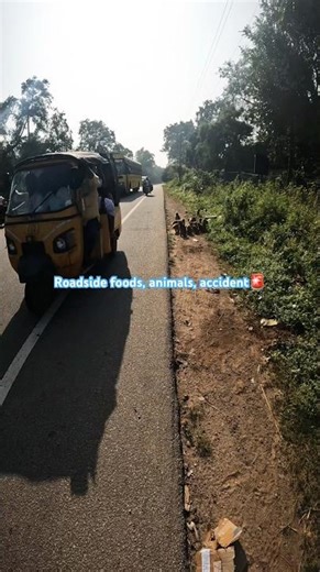 Animals, accidents🚨 🤌 #motovlog #viralvideo #telugu #hyderabad