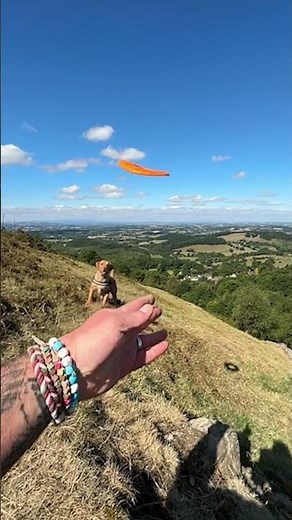 Man Playing Fetch with Dog Accidentally Records Possible UFO Zooming Through Air #shorts