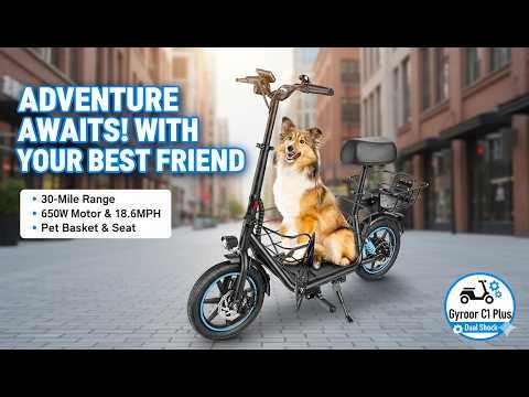 Gyroor C1 Plus Review – 30 Mile Seated Electric Scooter with Pet Basket!
