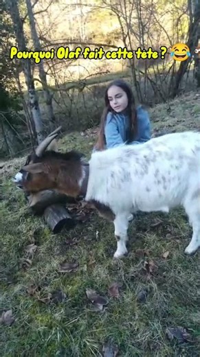 Pourquoi Olaf fait cette tête ? 😂🐐