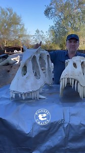 524K views · 15K reactions | Morrison Magic! The Late #Jurassic...
