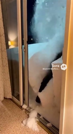 Trying To Get Out! #2