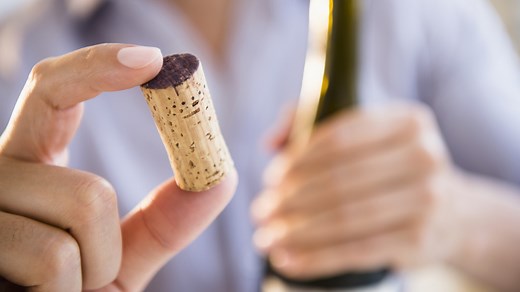 9 Creative Ways To Reuse Wine Corks Around The Garden - House Digest