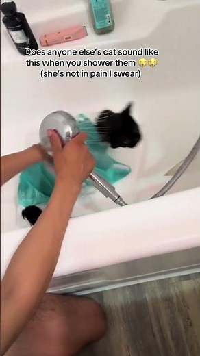 The best way to wash a cat 😮