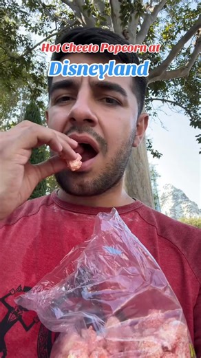 Hot Cheeto popcorn at Disneyland! Is it going to be as good as it sounds! 🔥🍿 #disneyparks #disneyland #DisneylandSnacks #HotCheetoPopcorn #SpicyGoodness #DisneyEats #SnackTime #DisneyFoo #fyp #reelsfb #reelsviral #reelsvideo #facebookreels #FacebookReelsContest #reels #reelsfb #reels2024 #shorts | Cassandra J. Anderson