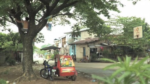 Tropical manila 2008