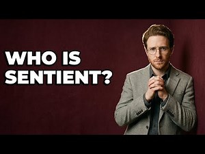 Which Wizarding Beings Are Called Sentient?
