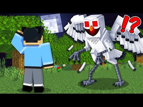 I Found a Owl Monster in Minecraft