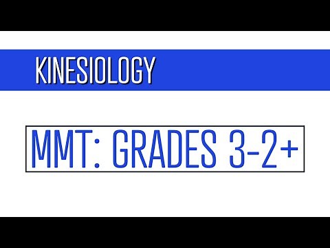 Manual Muscle Testing Grades 3 through 2+