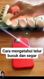 Senter hp untuk melihat telur busuk dan segar #reels #info #reelfyp #reelviral | Intan Dyah