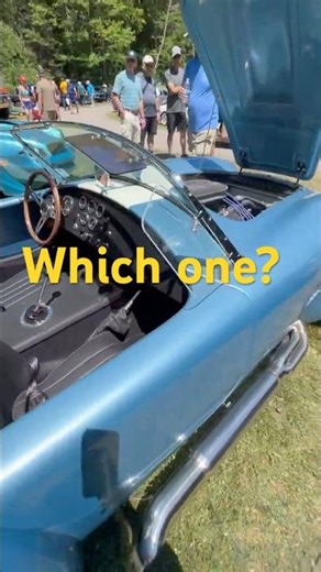 ‘62 Austin Healey OR 65 Cobra ?