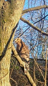 safe from #protection #traps #love #christianmotivation #jesuschrist #bibleinspiration #bibleverse