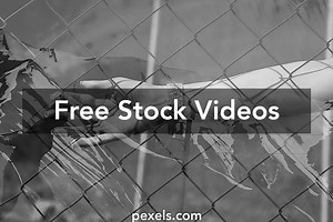 Hand Overlay Videos, Download The BEST Free 4k Stock Video Footage & Hand Overlay HD Video Clips