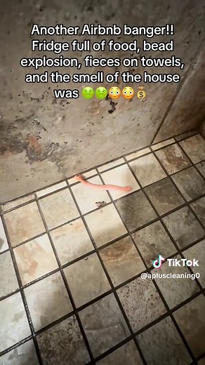 Airbnb Cleaning Tips: Tackling Common Challenges