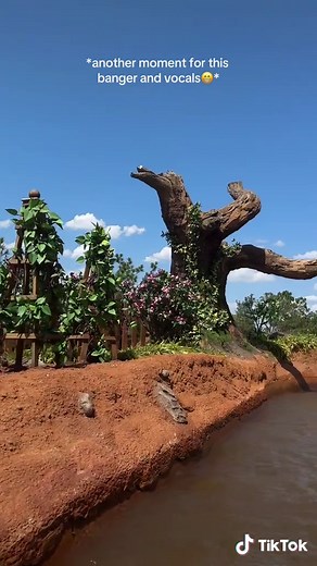 Tiana's Bayou Adventure: A Wet and Wild Disney Experience