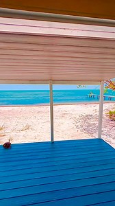 Cottage with INSANE views for sale near Key West 🏝️ | Living in Key West - Real Estate