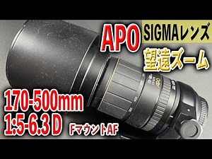 【SIGMAの高倍率超望遠レンズ】170-500mm 1:5-6.3 D APO【Nikon F AF】