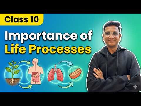 Life Processes Explained (Easy) | Importance of Life Processes | Class 10
