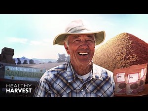 Teff: The Tiny Grain That Packs a Mighty Iron Punch