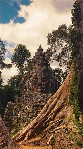 The magical temple of Angkor Wat | Cambodia #travelshorts #angkorwat #cambodia
