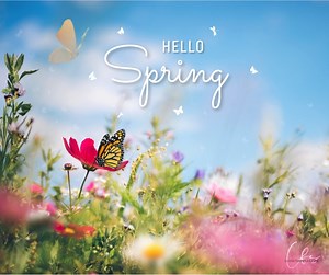  Happy 1st Day of Spring!  Can you feel it? The sun is shining a...