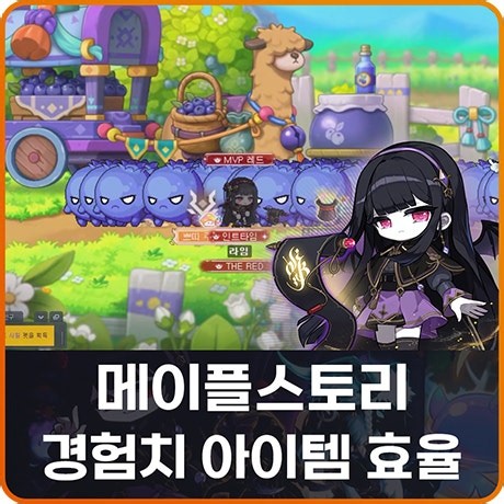 메이플 블루베리 농장 VIP 사우나 부스터 EXP 교환권 경험치 효율 공략