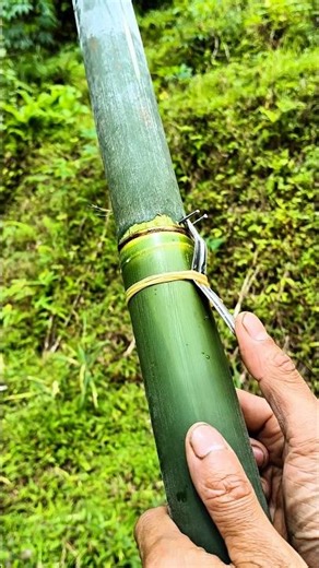 bamboo slingshot with spoon trigger #trending