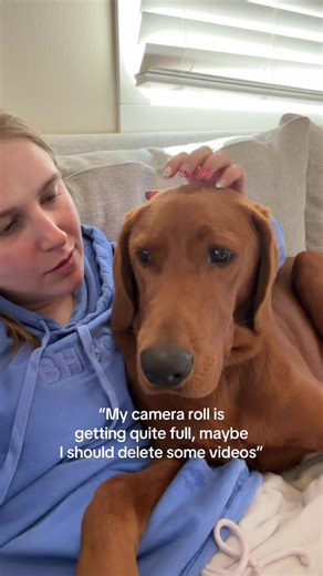Puppy's Adorable Camera Roll Moments