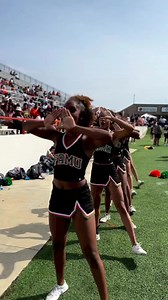 FAMU Cheerleaders & Deltas 🧡🐘🔺🐍💚 #reels | HBCUgrads