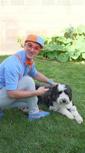 Who Let The Dogs Out? 🐕 #Blippi #kids #shorts