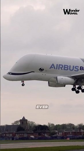 The Flying Whale of the Skies #shorts