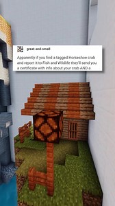Crab Grades 🦀 #memes #funny #tumblr | Loafy