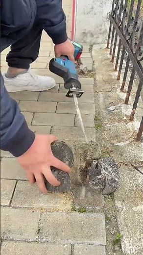 Cutting tree stump cleanly with handheld reciprocating saw