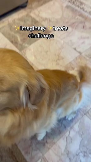 20K views · 2.4K reactions | Who remembers the invisible treat challenge?!  | Golden Girl Xena | Facebook